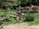 Image 01